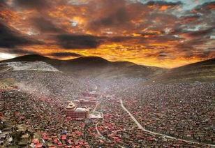 佛尘视频,探寻佛教智慧与心灵之旅