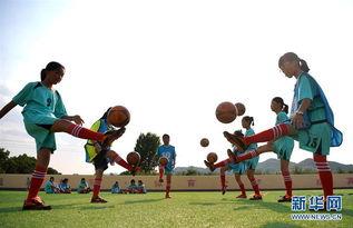 足球梦在线观看,激情燃烧的绿茵战场