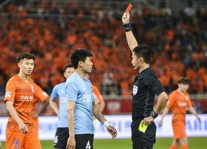 吴兴涵妻子爆料视频大全,揭秘夫妻感情纠葛