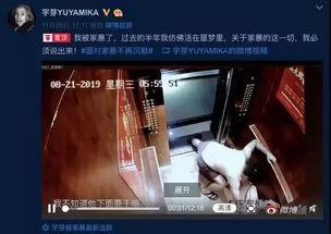 香港爆料家暴案视频最新,悲剧重演，社会关注女性安全