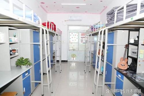 郑州大学宿舍爆料视频大全,视频大全曝光真实生活场景