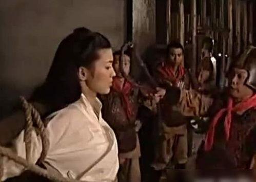 妻 凌辱轮廻免费观看,一段禁忌的婚姻悲剧