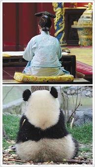 大大娱乐吃瓜